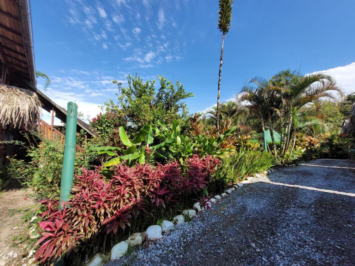 Mindo Glambird Glamping & Lodge Luaran gambar