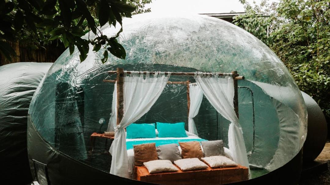 Mindo Glambird Glamping & Lodge Luaran gambar