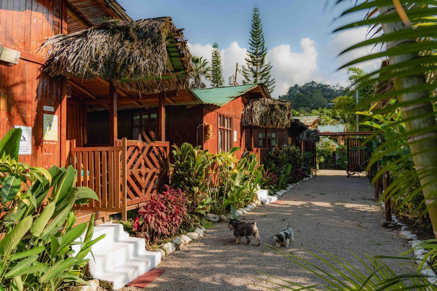 Mindo Glambird Glamping & Lodge Luaran gambar