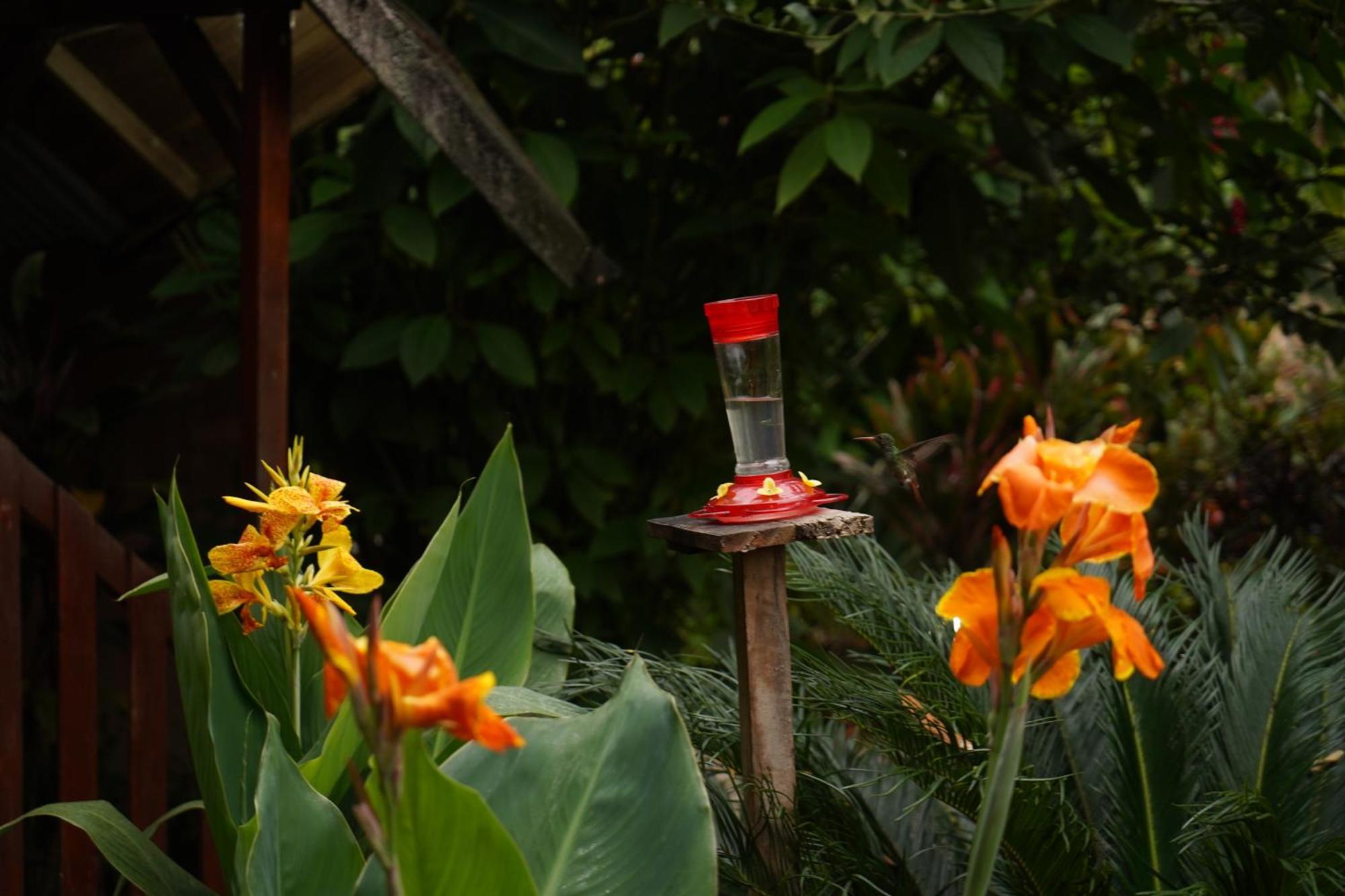 Mindo Glambird Glamping & Lodge Luaran gambar