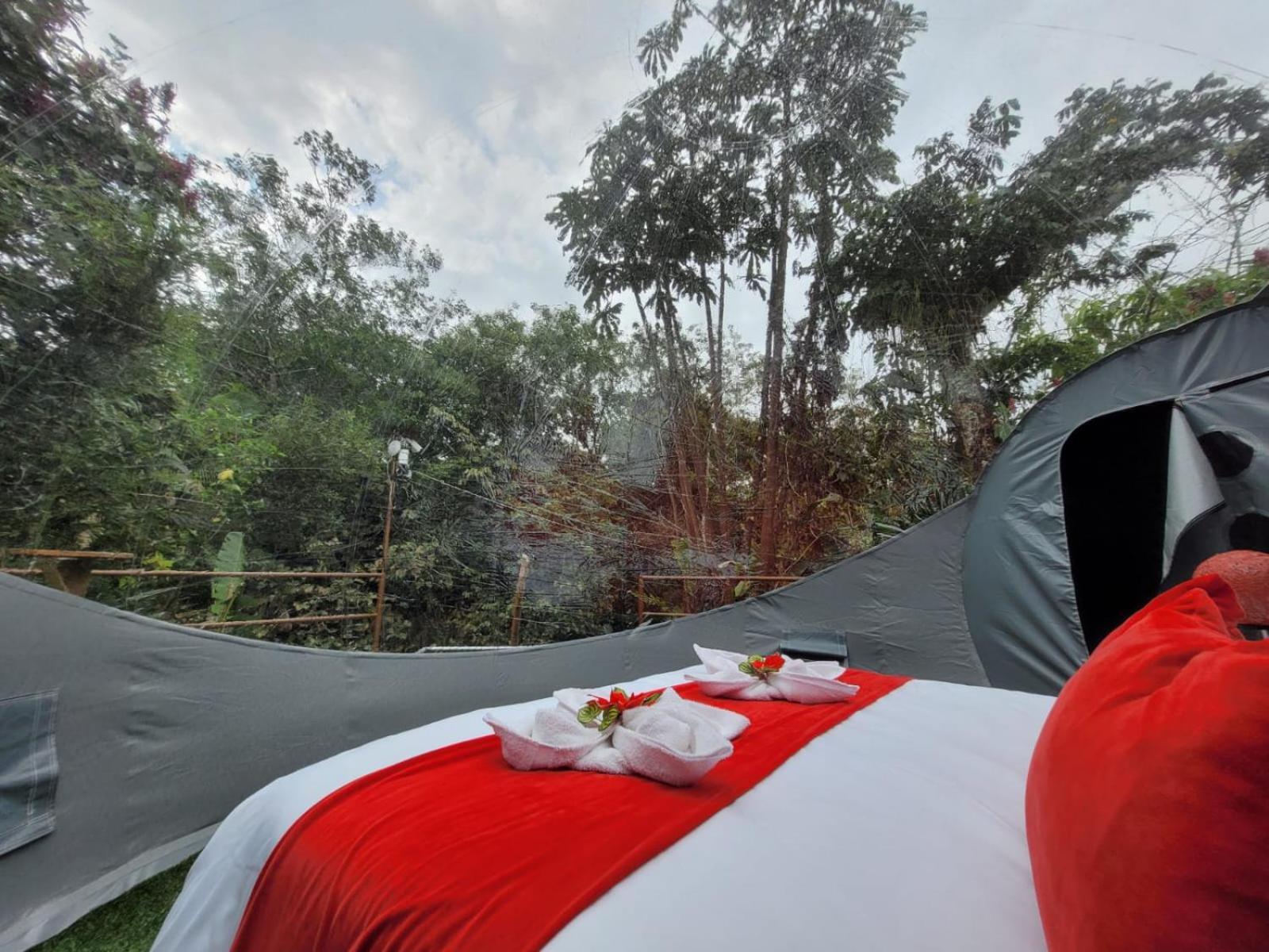 Mindo Glambird Glamping & Lodge Luaran gambar